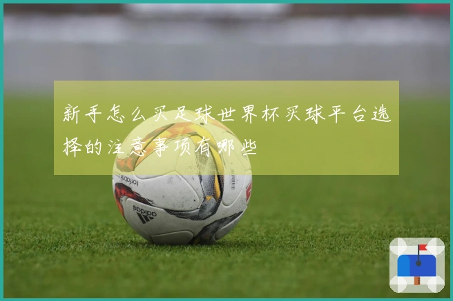 新手怎么买足球世界杯买球平台选择的注意事项有哪些