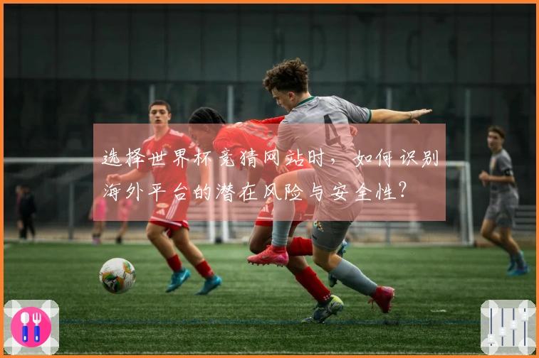 选择世界杯竞猜网站时，如何识别海外平台的潜在风险与安全性？
