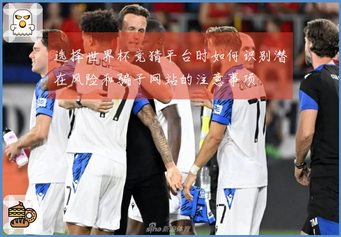 选择世界杯竞猜平台时如何识别潜在风险和骗子网站的注意事项