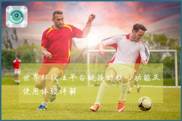 世界杯投注平台链接的核心功能及使用体验详解