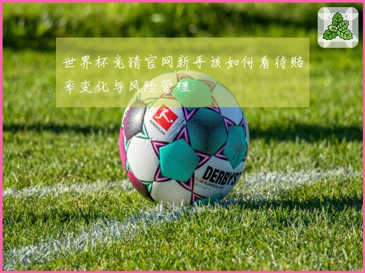 世界杯竞猜官网新手该如何看待赔率变化与风险管理
