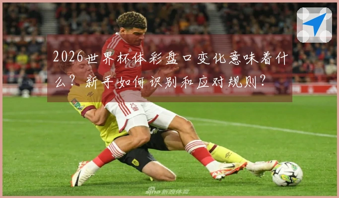 2026世界杯体彩盘口变化意味着什么?新手如何识别和应对规则?