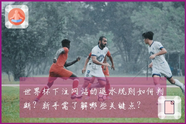 世界杯下注网站的返水规则如何判断？新手需了解哪些关键点？