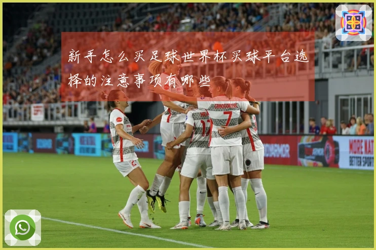 新手怎么买足球世界杯买球平台选择的注意事项有哪些