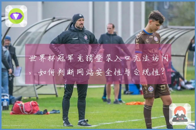 世界杯冠军竞猜登录入口无法访问，如何判断网站安全性与合规性？
