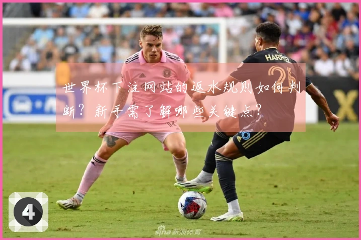 世界杯下注网站的返水规则如何判断？新手需了解哪些关键点？