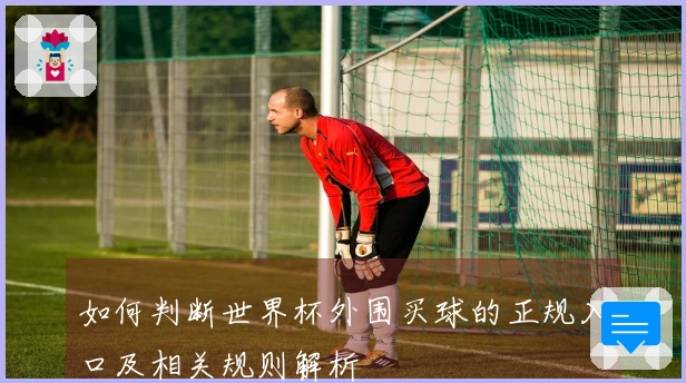 如何判断世界杯外围买球的正规入口及相关规则解析