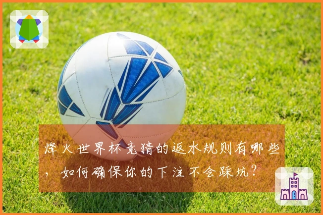烽火世界杯竞猜的返水规则有哪些，如何确保你的下注不会踩坑？