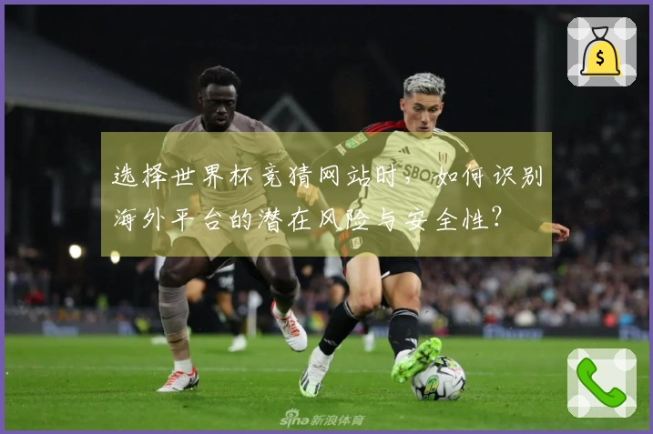 选择世界杯竞猜网站时，如何识别海外平台的潜在风险与安全性？