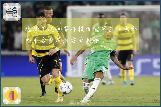 选择正规世界杯投注官网应注意哪些平台资质和安全措施