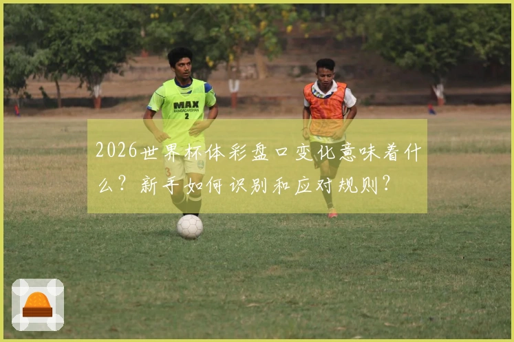 2026世界杯体彩盘口变化意味着什么？新手如何识别和应对规则？