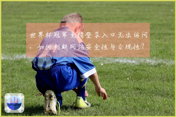 世界杯冠军竞猜登录入口无法访问，如何判断网站安全性与合规性？