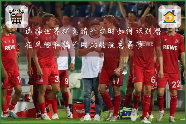 选择世界杯竞猜平台时如何识别潜在风险和骗子网站的注意事项