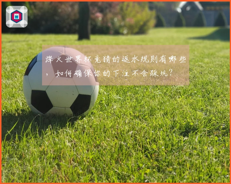 烽火世界杯竞猜的返水规则有哪些，如何确保你的下注不会踩坑？