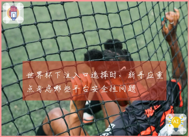 世界杯下注入口选择时，新手应重点考虑哪些平台安全性问题
