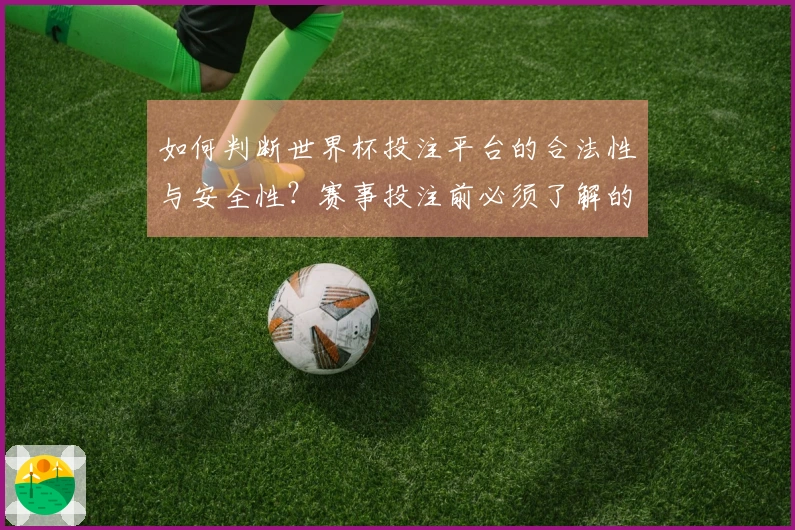 如何判断世界杯投注平台的合法性与安全性？赛事投注前必须了解的要点