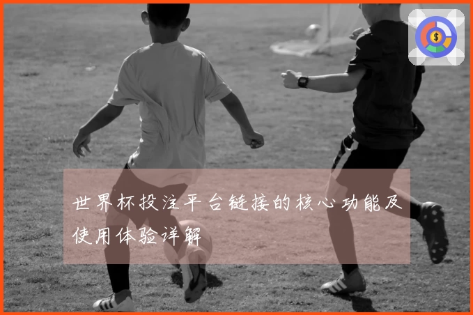 世界杯投注平台链接的核心功能及使用体验详解